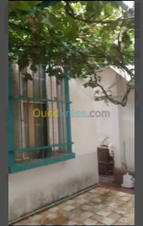 Vente Villa Constantine Constantine