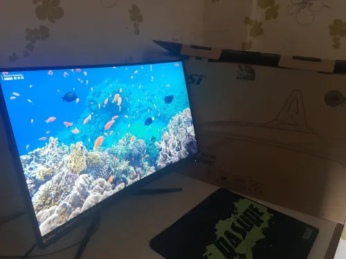 MSI Gaming Monitor 165 Htz   ( MSI Optix MAG272C ) Curved Monitor