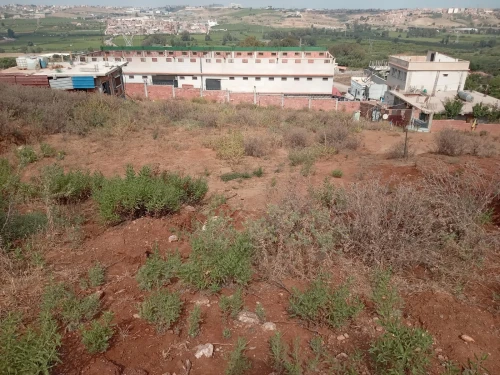 Vente Terrain Boumerdès Boudouaou