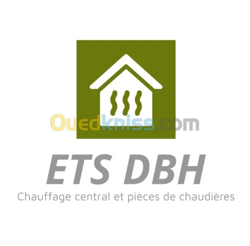 cumlus ARISTON GAZ,éléctrique originaL