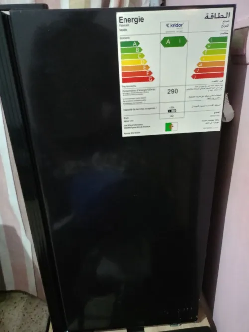 Mini frigidaire