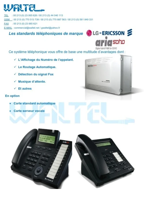 Système de Visioconférence