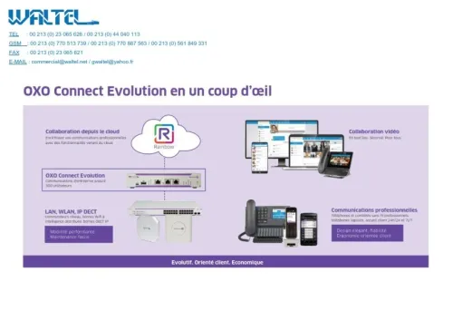 cable reseau et telephonique