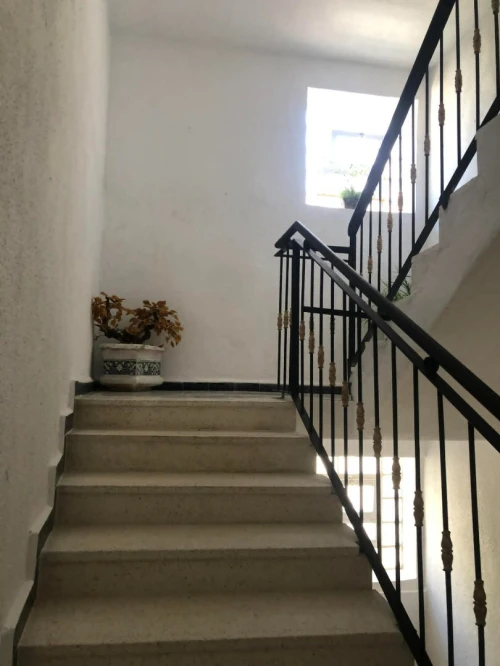 Location Appartement F6 Alger Dely brahim