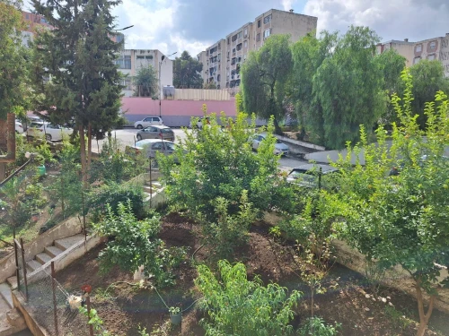 Vente Appartement F3 Constantine Constantine