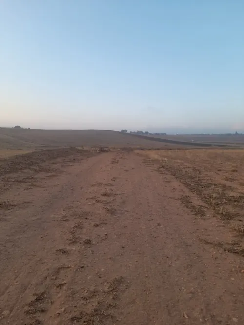Vente Terrain Bouira El hachimia