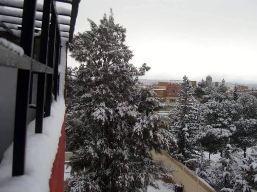 Vente Appartement F4 Djelfa Djelfa