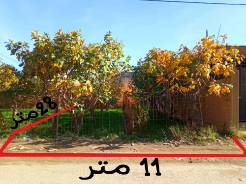 Vente Terrain Blida Ouled selama