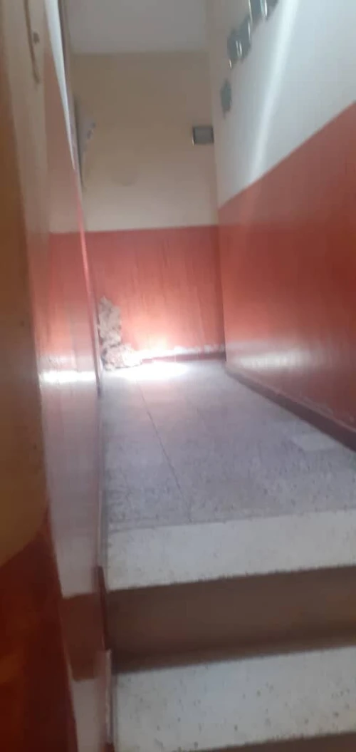 Vente Villa Tlemcen Ghazaouet