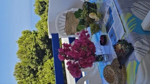 Location vacances Appartement Tlemcen Ghazaouet