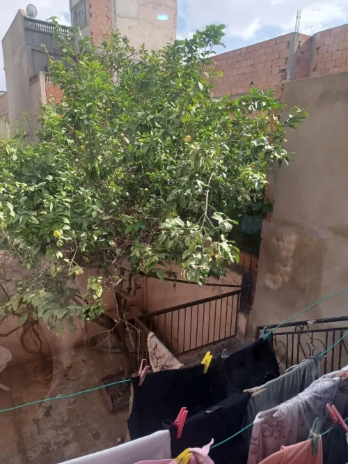 Vente Villa Oran Es senia
