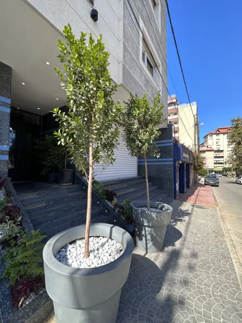 Vente Local Alger Birkhadem