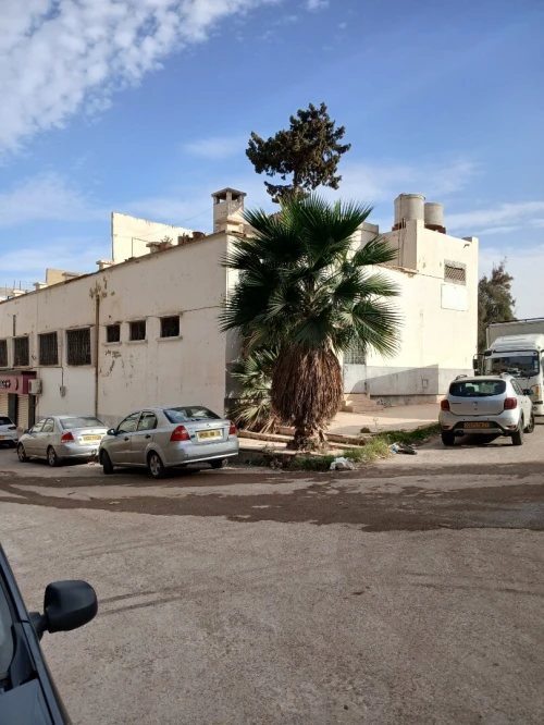 Location Local Mostaganem Mostaganem