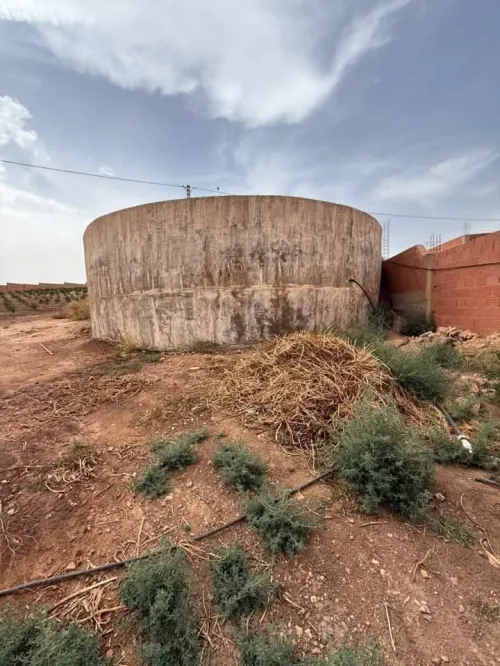 Vente Terrain Agricole Sidi Bel Abbès Lamtar