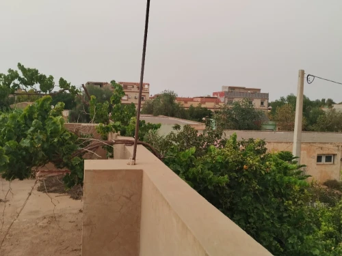 Vente Terrain Sidi Bel Abbès Ben badis