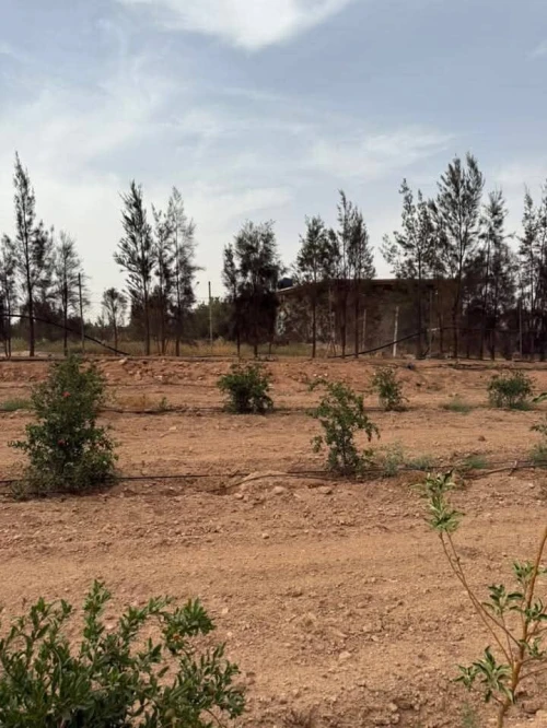 Vente Terrain Agricole Sidi Bel Abbès Lamtar