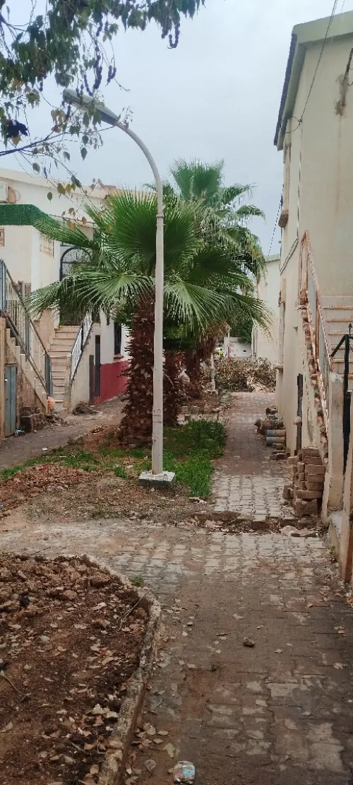 Vente Appartement F3 Sidi Bel Abbès Sidi bel abbes
