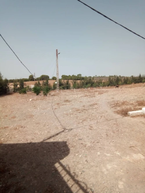 Vente Terrain Agricole Sidi bel abbes Sidi dahou de zairs