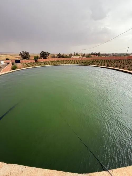 Vente Terrain Agricole Sidi Bel Abbès Lamtar