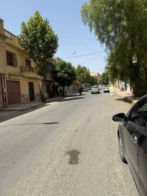 Vente Local Sidi Bel Abbès Sidi bel abbes