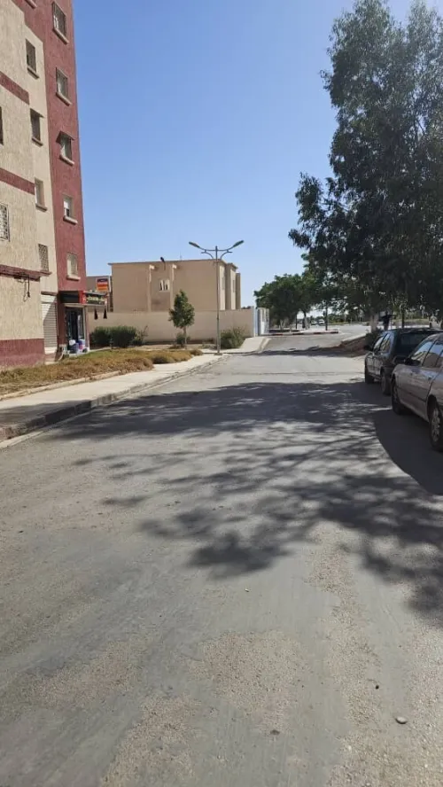 Location Local Sidi Bel Abbès Sidi bel abbes