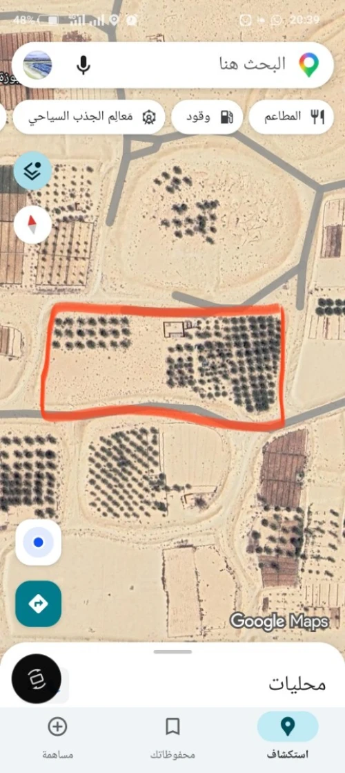 Vente Terrain El Oued Guemar