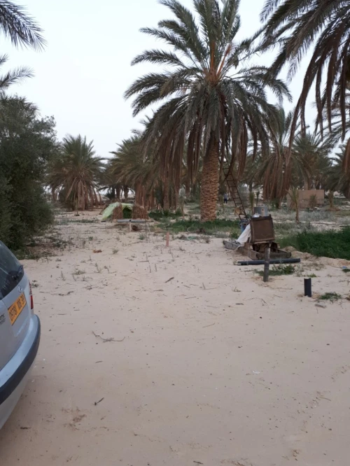 Vente Terrain El Oued Guemar