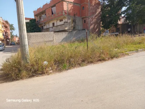 Vente Terrain Alger Dely brahim