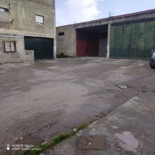 Location Hangar - Usine Guelma Guelma