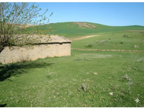 Vente Terrain Agricole Bouira Ain bessem