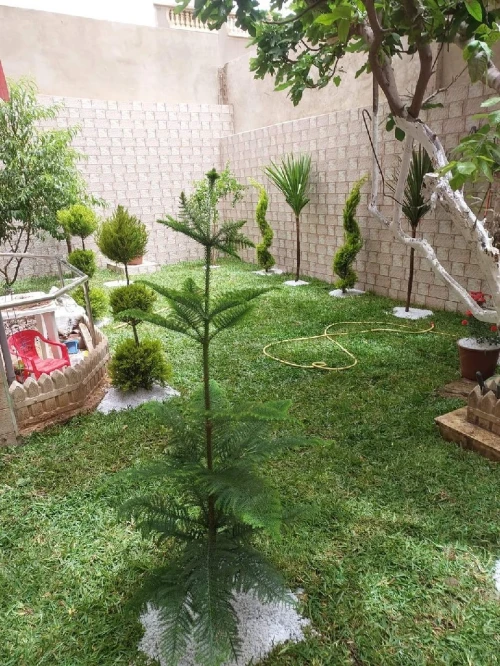 Gazon تهيئة الحدائق و المساحات الخضراء 