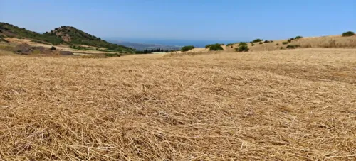 Vente Terrain Agricole Boumerdès Djinet 2