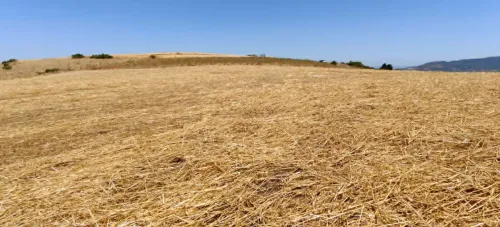 Vente Terrain Agricole Boumerdès Djinet 4
