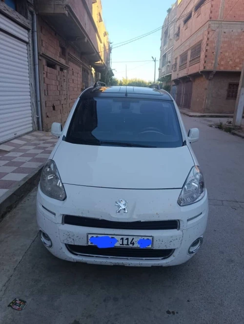 Peugeot Partner 2014 Tepee