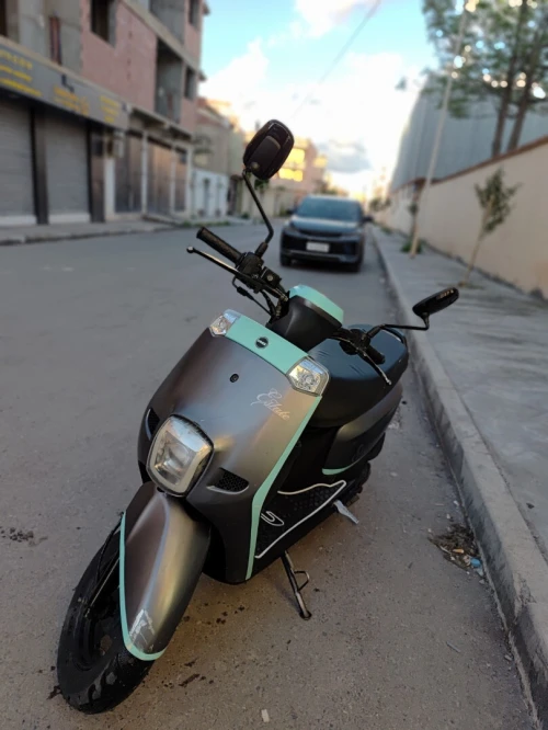 Vms Estate 2022
