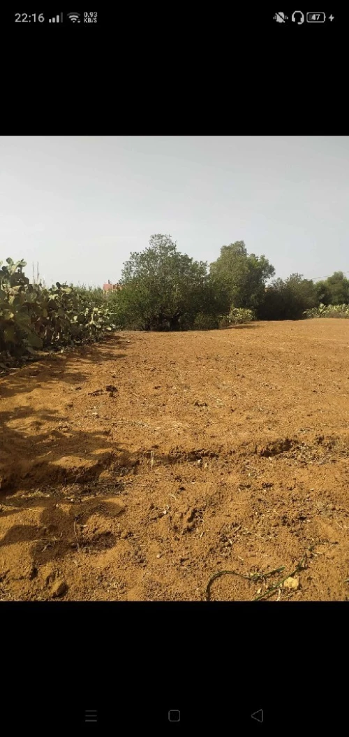 Vente Terrain Mostaganem Achaacha