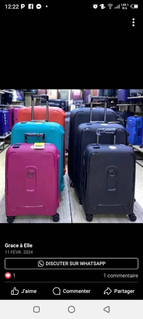 Valise SAMSONITE et DELSEY