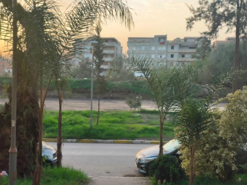 Vente Appartement Alger Sidi moussa