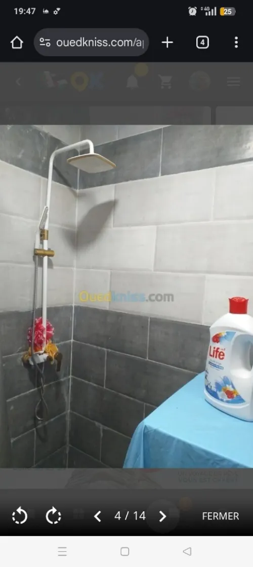 Location Appartement F2 Alger Tessala el merdja