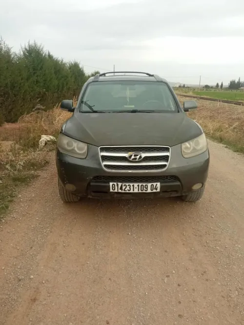 Hyundai SantaFe 2009 SantaFe