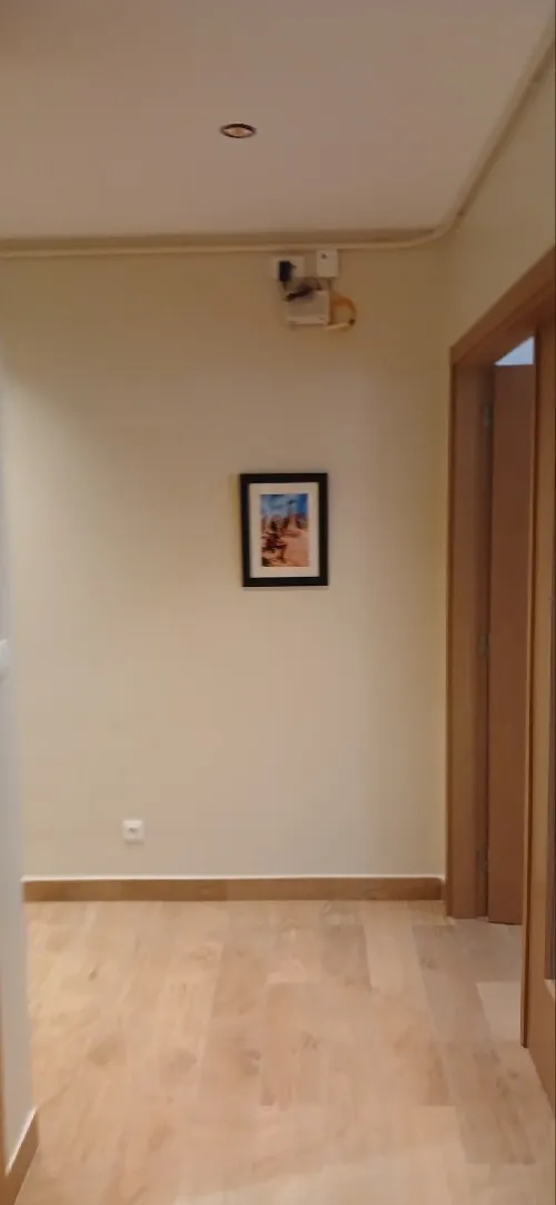 Location Appartement F3 Alger Hydra