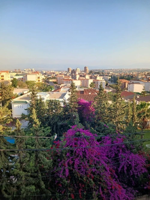 Location Appartement F3 Alger Said hamdine