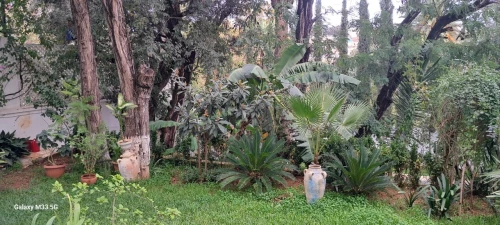 Location Villa Alger Ben aknoun
