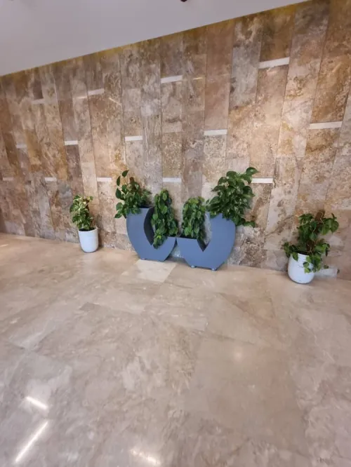 Location Appartement F5 Alger Hydra