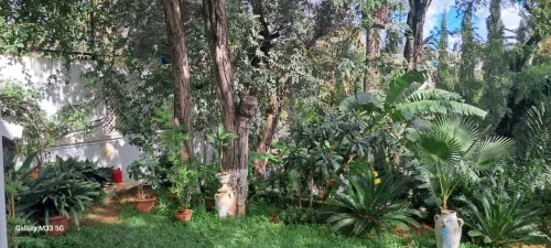 Location Villa Alger Hydra