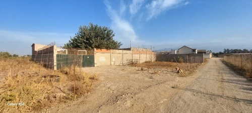 Vente Hangar - Usine Alger Tessala el merdja