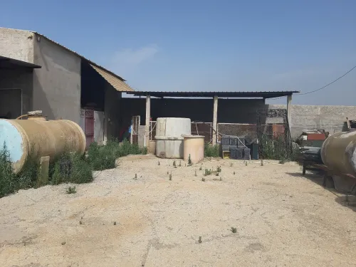 Vente Hangar - Usine Alger Tessala el merdja