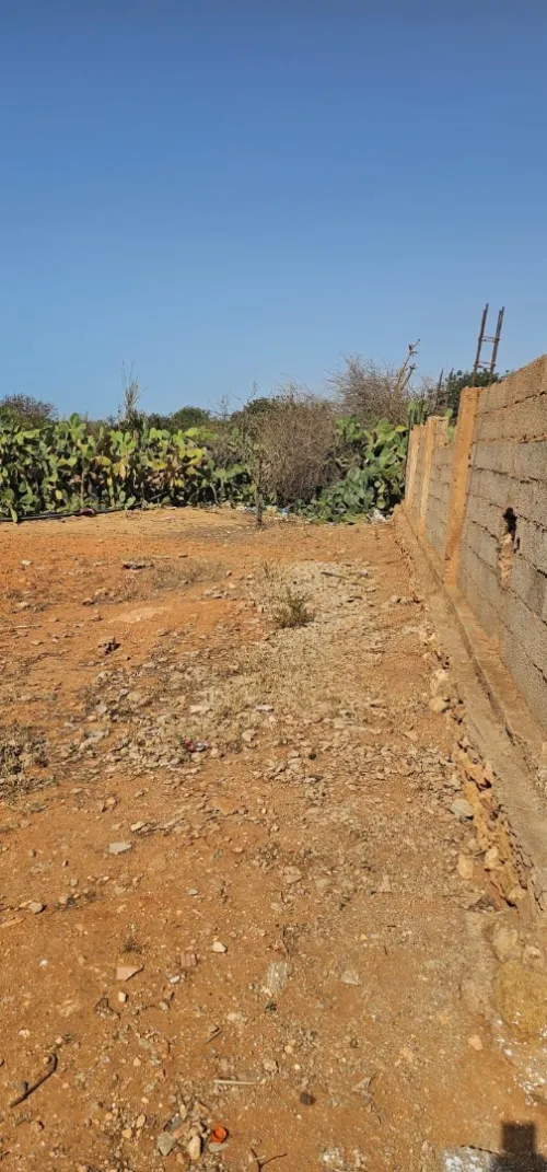 Vente Terrain Mostaganem Sidi lakhdaara