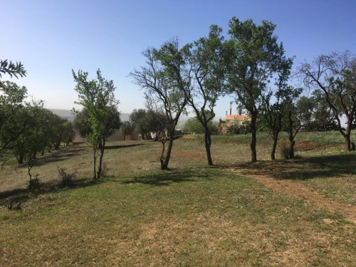 Vente Terrain Bouira Bouira