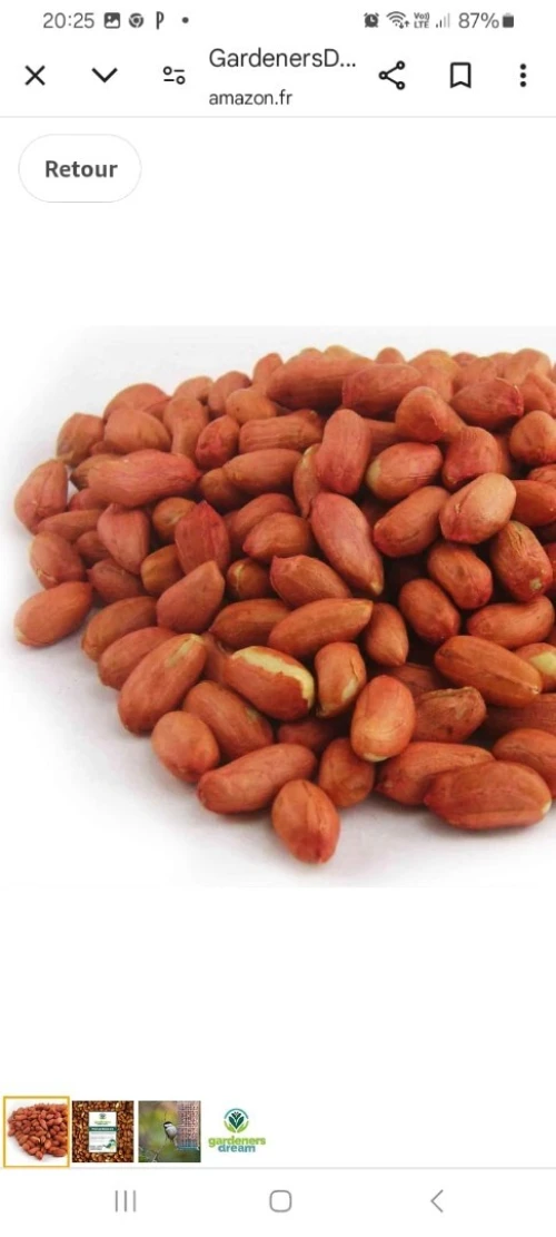 خدمة التحميص